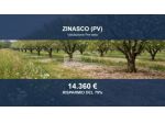Immobile in asta di 21962 m² in vendita a Zinasco