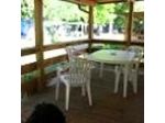 Camping Pineta di Leoncini Massimo