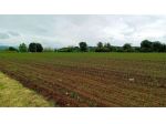 V000919 - CANTU' periferia vendiamo TERRENO AGRICOLO