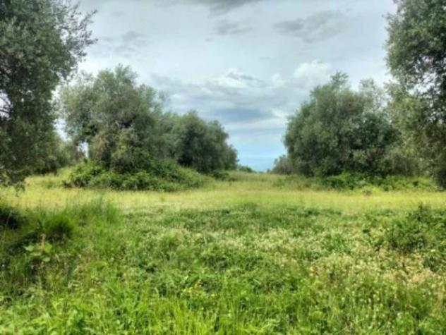 Immobile in asta di 23396 m² in vendita a Ficulle - Foto 6