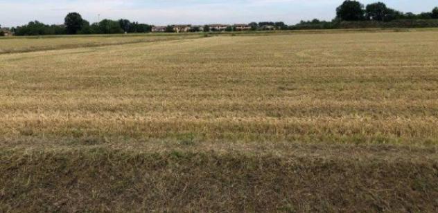 Immobile in asta di 91078 m² in vendita a Fombio - Foto 4