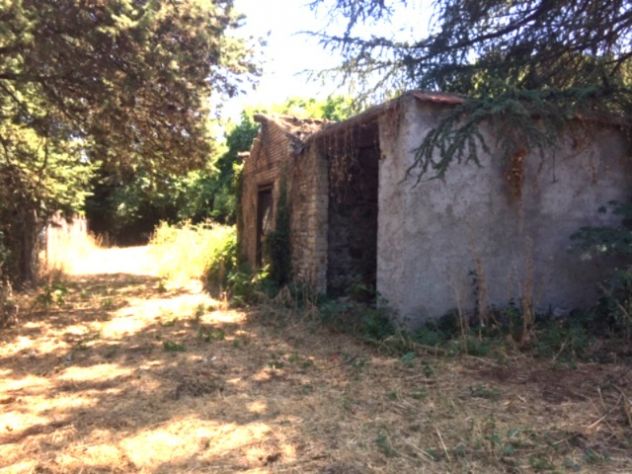 Pantano - terreno con locale deposito - Foto 2