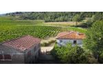 VENDESI PRESSI PONTASSIEVE COLONICA CON ANNESSO MQ 460 CON TERRENO ADIACENTE