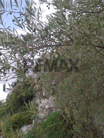 Terreno in vendita a Siracusa, Belvedere - Foto 4