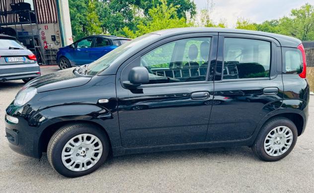 Fiat Panda 1.0 FireFly S&S Hybrid Pandina - Foto 5