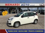 FIAT Panda 1.0 FireFly Hybrid Icon SUPER-OFFERTA KM0