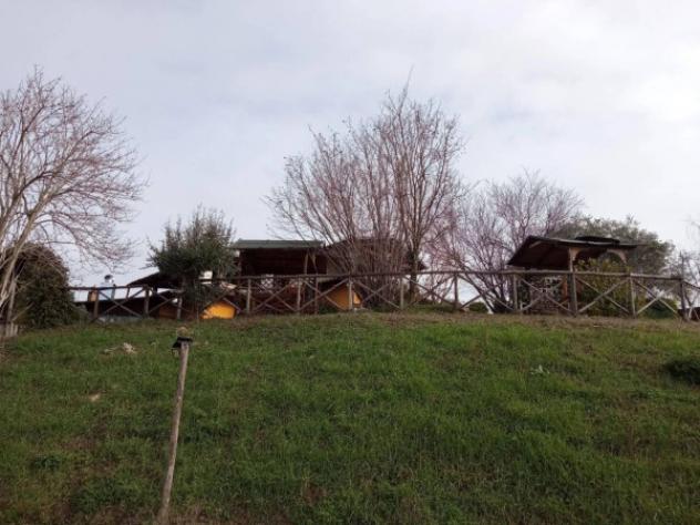 Immobile in asta di 760 m² in vendita a Torricella Sicura - Foto 8