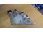 Vaschetta acqua motore moto GILERA Arizona 125