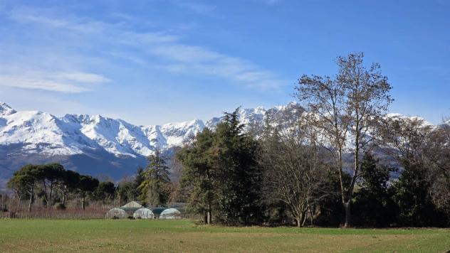 Vendita Terreno edificabile da 2900 mq in Via Primo Maggio con giardino - Foto 14