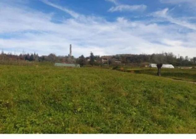 Immobile in asta di 174275 m² in vendita a Pieve Fosciana - Foto 6