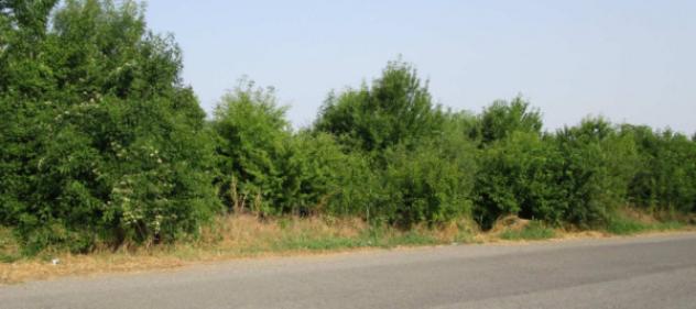 Immobile in asta di 2 m² in vendita a Rivanazzano Terme - Foto 9