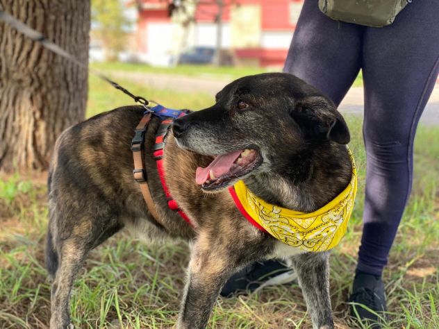 Igor per 10 anni ha vissuto da solo in una campagna - Foto 10