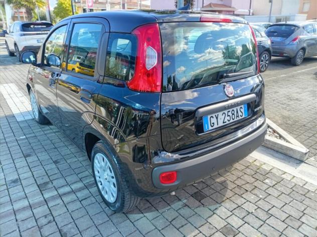 FIAT Panda 3ª serie Panda 1.0 FireFly S&S Hybrid - Foto 5