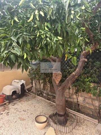 Casa Semindipendente 3 locali - Rif. 2042 - Foto 7