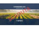 Immobile in asta di 200 m² in vendita a Catanzaro