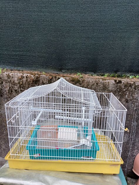 2 Gabbia per canerini