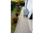 APPARTAMENTO di 3 vani e di 115 mq (MONTEBELLUNA) rif. PE17