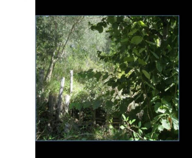 Immobile in asta di 295 m² con più di 5 locali e box auto in vendita a Roccabascerana - Foto 10