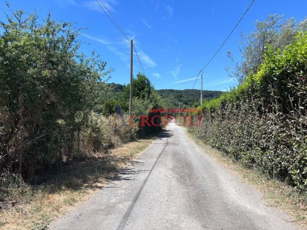 Terreno Agricolo - Rif. 2672 - Foto 8