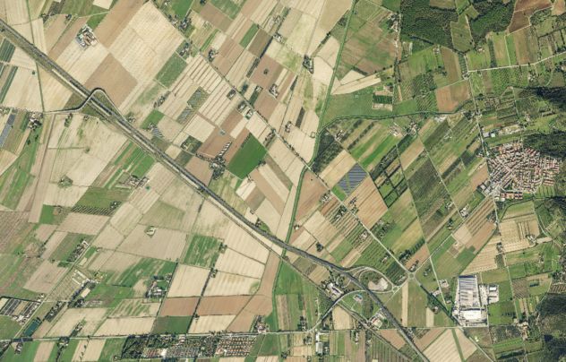 Terreno in vendita a Riotorto - Piombino - Foto 6