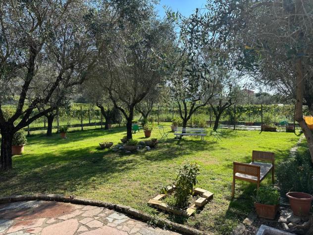 Casa semindipendente in vendita a Castelnuovo Magra 110 mq Rif: 1427149 - Foto 9