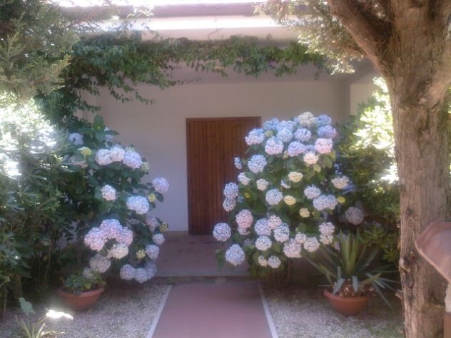 Estate a 300 metri dal mare a TOR SAN LORENZO LIDO (Ardea)