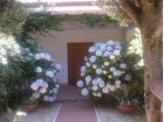 Estate a 300 metri dal mare a TOR SAN LORENZO LIDO (Ardea)