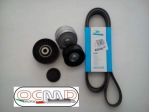 Kit cinghia servizi alfa gt - 147 - 156 - marea - bravo - lybra