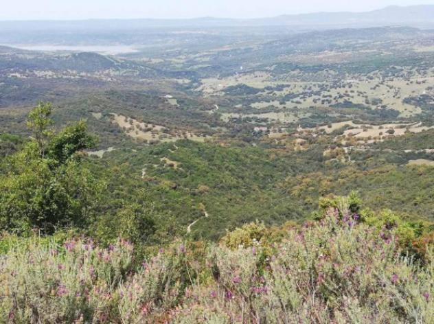 Immobile in asta di 435732 m² in vendita a Austis - Foto 2