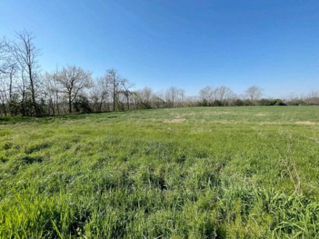 Immobile in asta di 4749 m² in vendita a Corteolona e Genzone - Foto 2