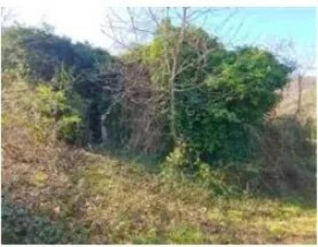 Immobile in asta di 10407 m² con più di 5 locali in vendita a Fossombrone - Foto 7