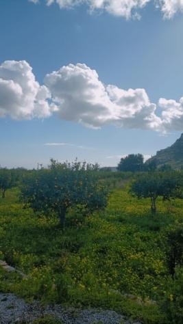 Terreno i mq 15.000 con caseggiato - Foto 9