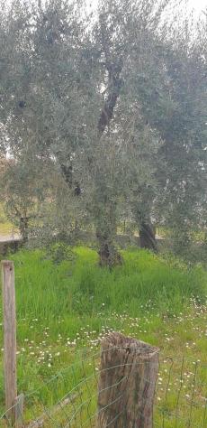Villa in vendita a Pisa 300 mq Rif: 1068586 - Foto 9