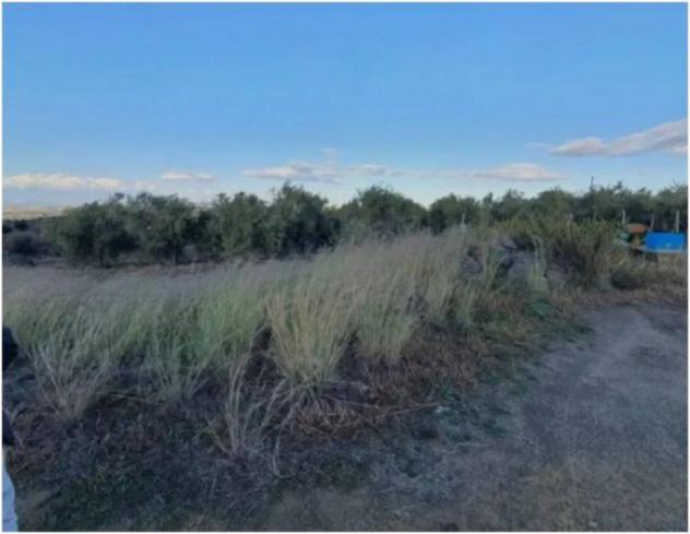 Immobile in asta di 37140 m² in vendita a Carlentini - Foto 9