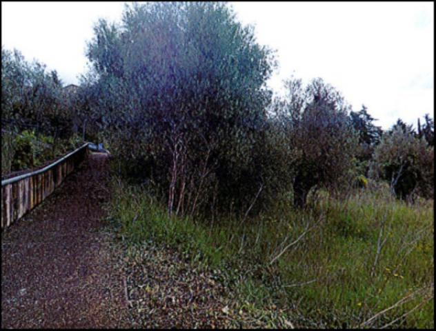 Immobile in asta di 1 m² in vendita a Montegabbione - Foto 9