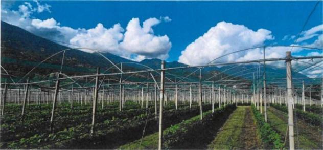 Immobile in asta di 30279 m² in vendita a Borgo Valsugana - Foto 5