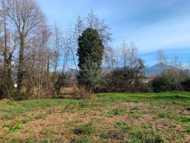 TERRENO AGRICOLO di 6980 mq (PIETRASANTA - Fiumetto) rif. 172/VE - Foto 12