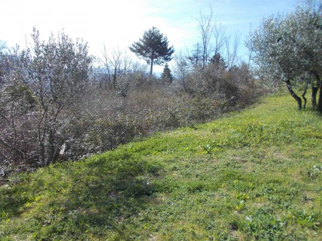 Terreno agricolo in Vendita in zona MONTORSOLI con giardino
