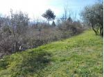 Terreno agricolo in Vendita in zona MONTORSOLI con giardino