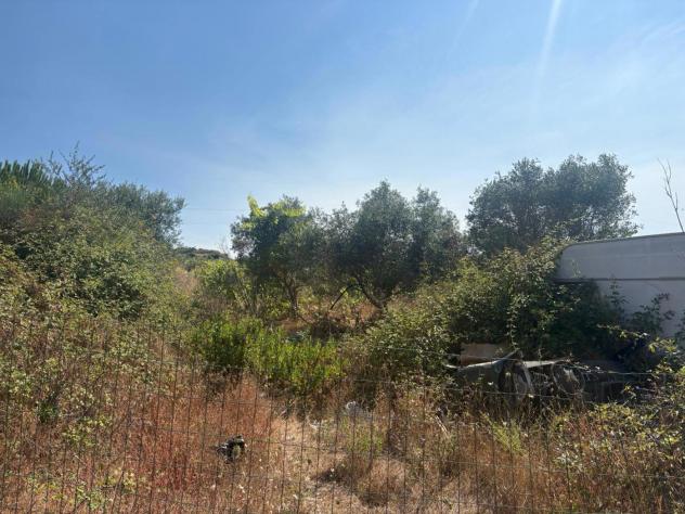 Terreno Agricolo - Messina . Rif.: Cod. rif 3325955VCG - Foto 2