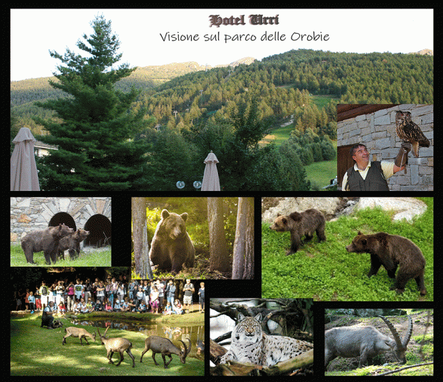 Hotel Urri – Soggiorni ad Aprica - Foto 7