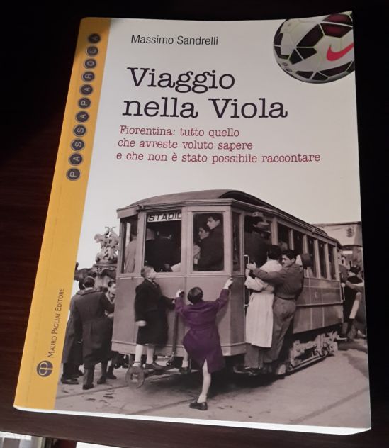 Viaggio nella viola, Massimo Sandrelli, Mauro Pagliai Editore, Dicembre 2014. - Foto 5