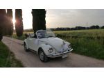 Noleggio maggiolone cabrio
