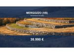 Immobile in asta di 24469 m² in vendita a Mergozzo