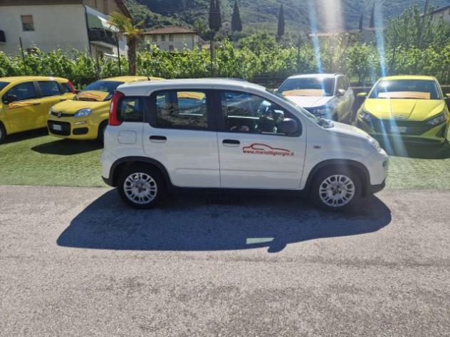FIAT Panda 1.0 FireFly S&S Hybrid rif. 23698759 - Foto 6