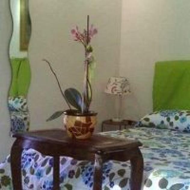 B&B Oniro