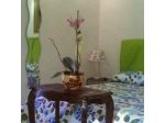 B&B Oniro