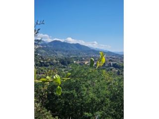Quadrilocale in affitto a Sarzana