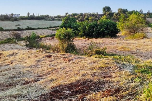 Immobile di 34 m² in vendita a Martina Franca - Foto 4