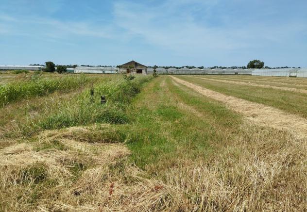 Seminativo in vendita a Eboli - Foto 4